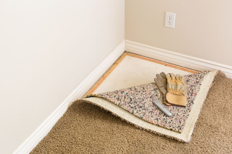 Carpet Cushion Replacement in Denver County, CO