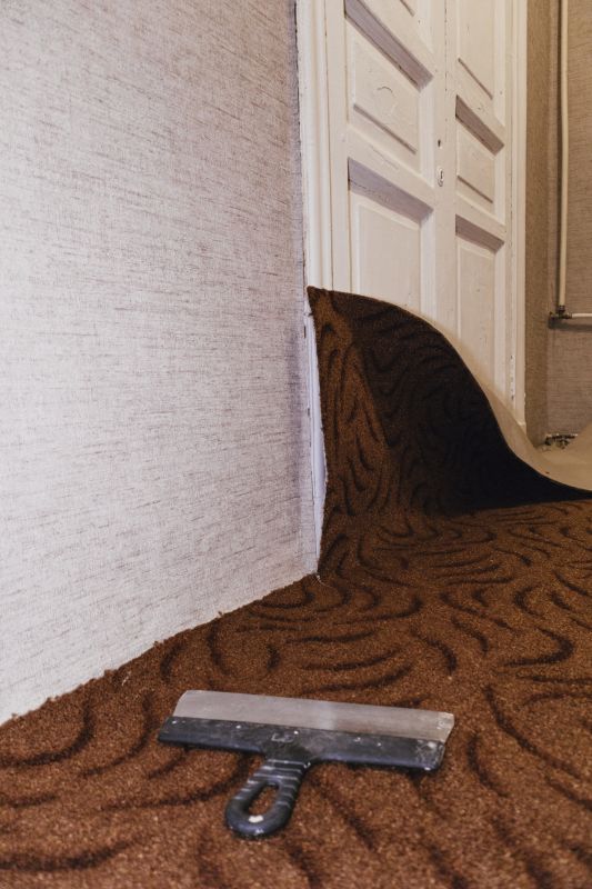Doorway Carpet Repair in Olathe, KS