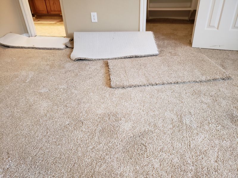 Residential Carpet Repair